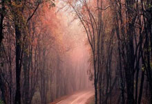 金与正“转正” 阅兵式与金正恩同排