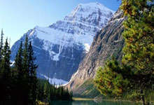 佟湘玉李大嘴喜结连理，演绎别样婚礼盛宴