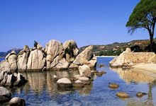 金与正“转正” 阅兵式与金正恩同排